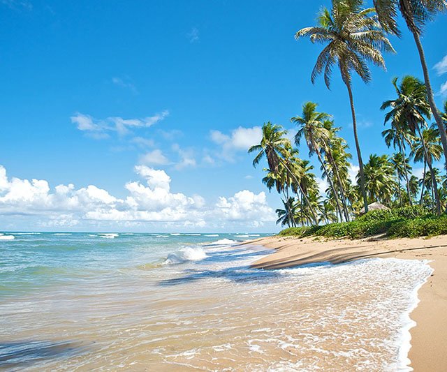 Deutschlands Resort während der Weltmeisterschaft x Campo Bahia 11