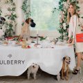 Cara Delevingne x Mulberry Spring Summer 2014