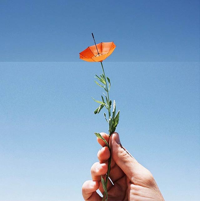 ComboPhoto by Stephen McMennamy 6
