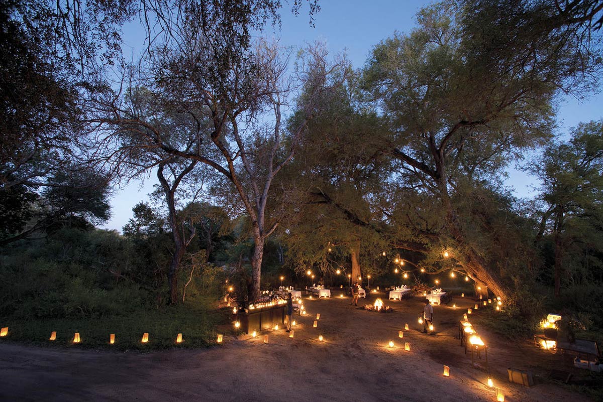 Lion Sands Game Reserve in Südafrika 5