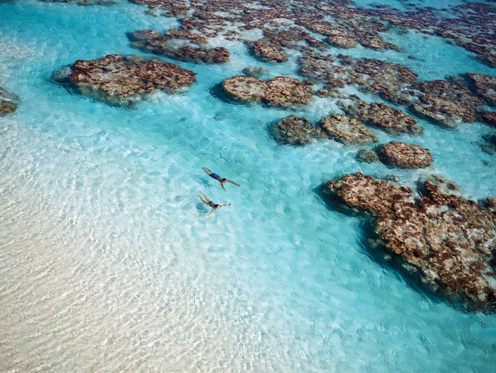 Luxury Resort The Brando x French Polynesia 7