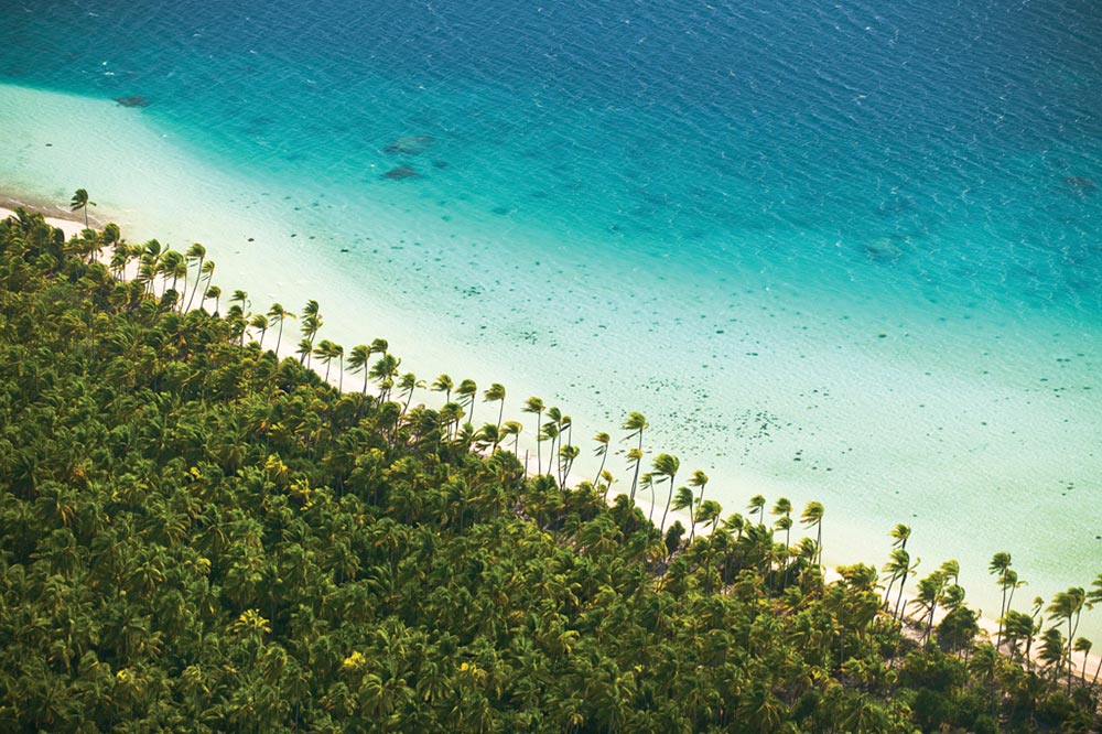 Luxury Resort The Brando x French Polynesia 8