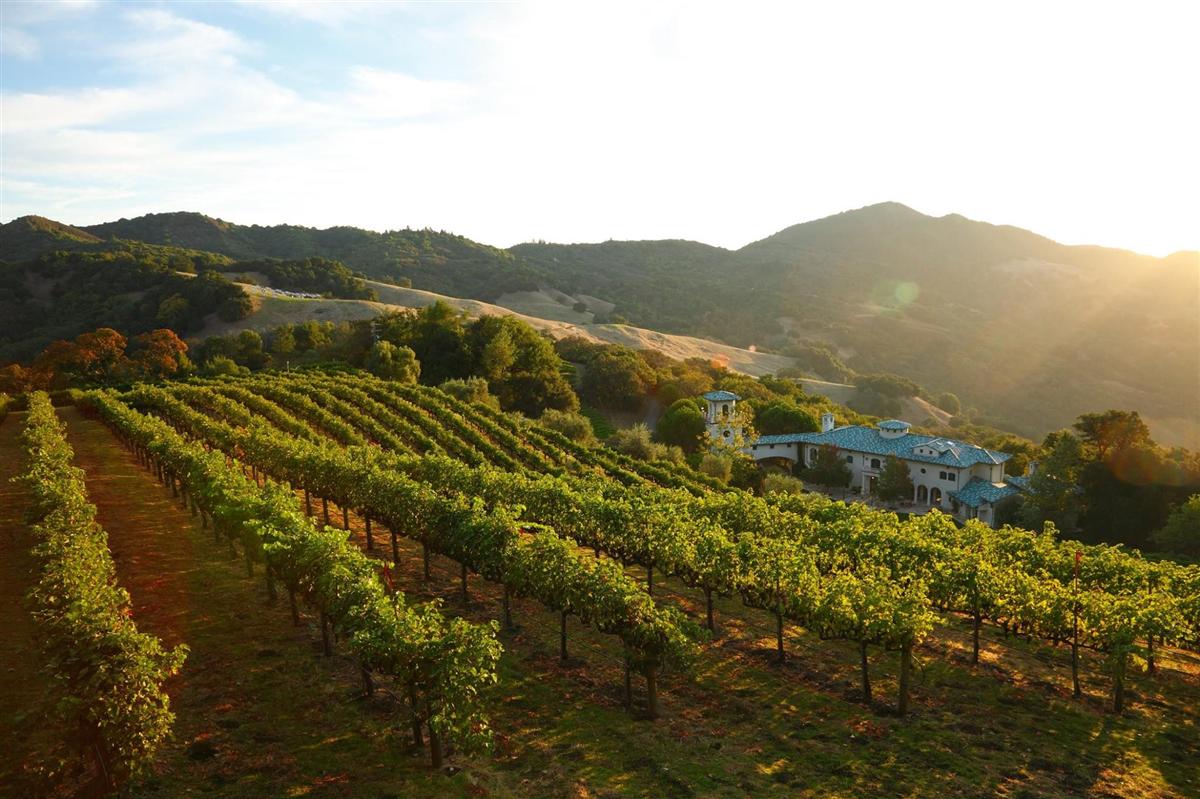 Robin Williams verkauft sein $29.9 Millionen Dollar Napa Valley Anwesen 2