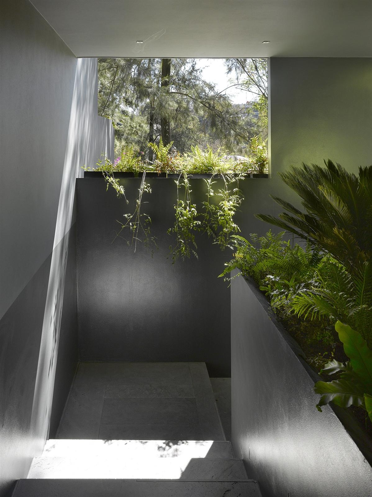 The Barranca House in Mexico City 15