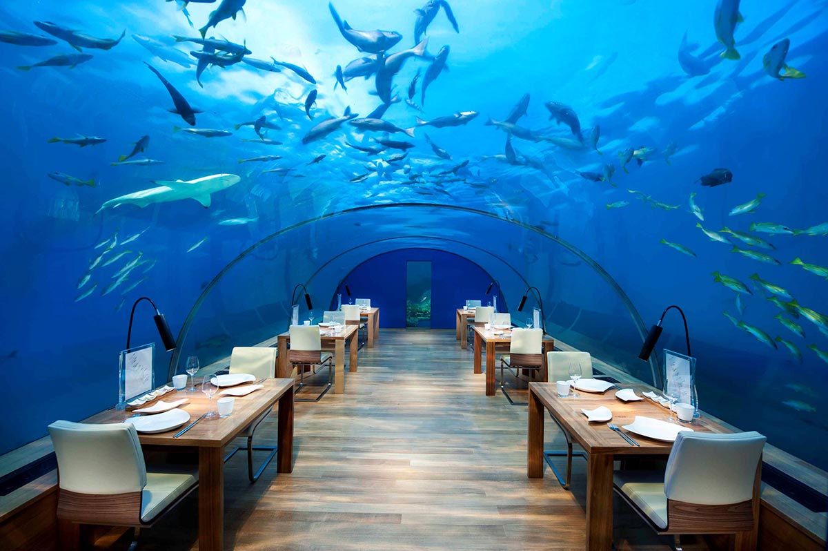 Underwater Restaurant x Maldives x Rangali Island 2