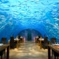 Underwater Restaurant x Maldives x Rangali Island