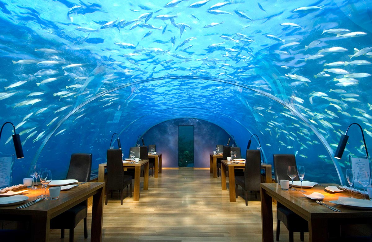Underwater Restaurant x Maldives x Rangali Island 1