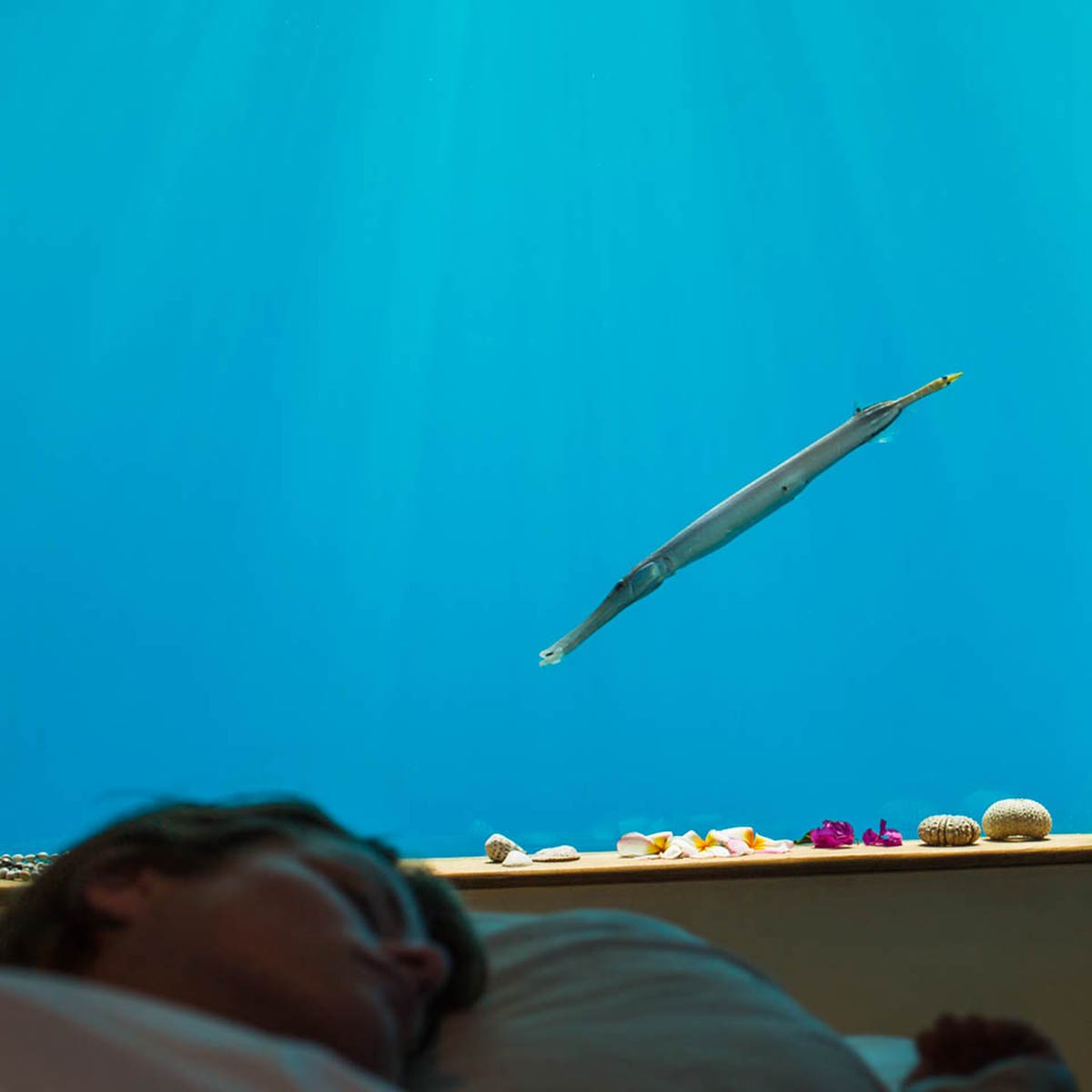 Underwater-Room-x-Manta-Resort-07