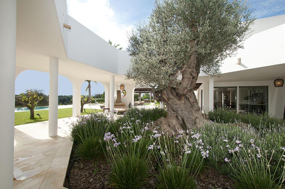 Countryhouse Villa in San Carlos x Ibiza 15
