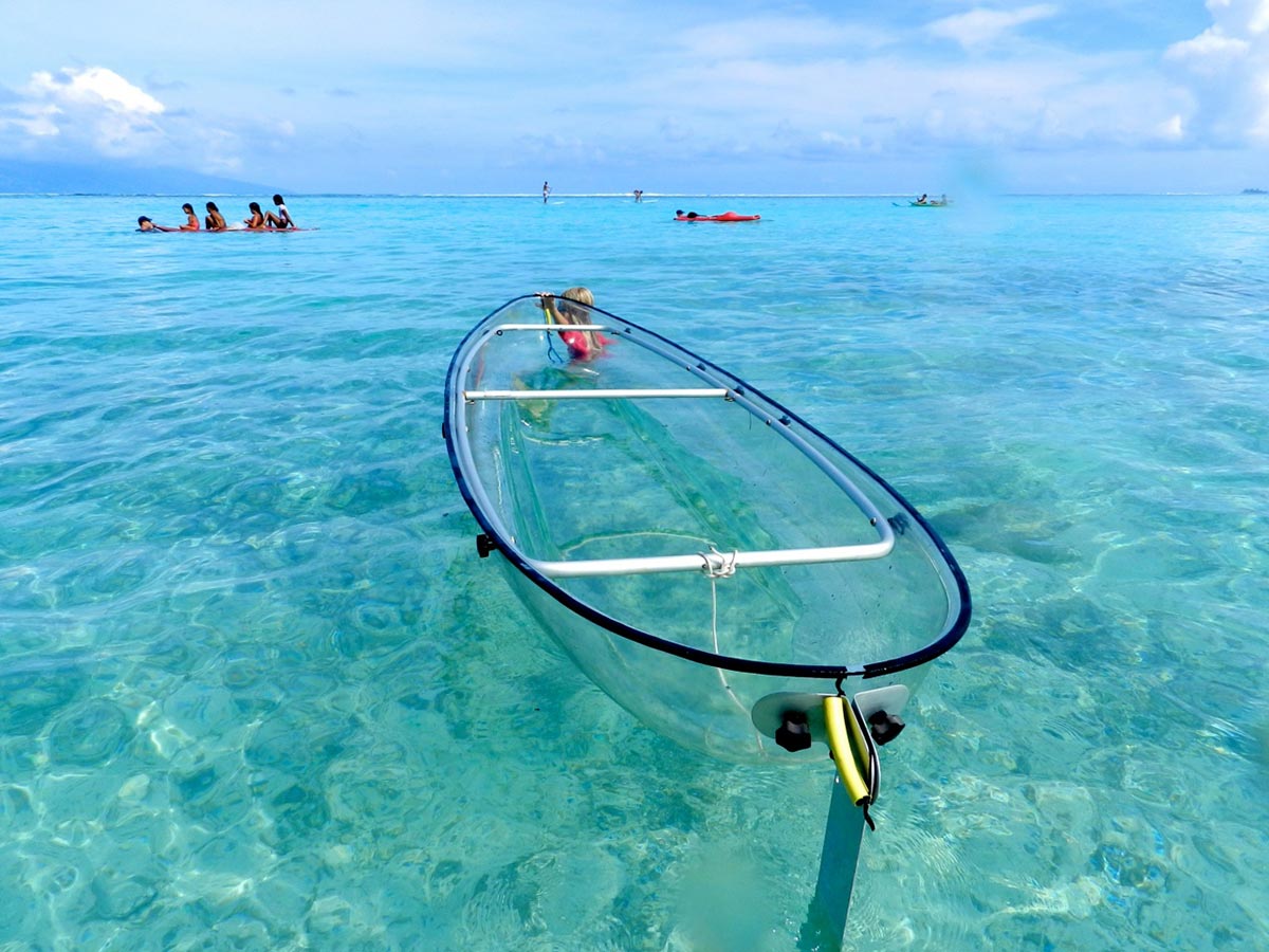 Erkunde die Meere mit diesem transparenten Kayak 1