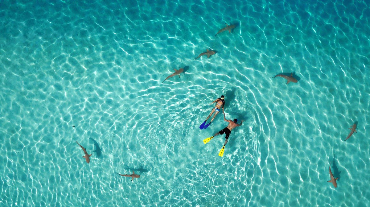 15 of the Most Beautiful Drone Pictures 5