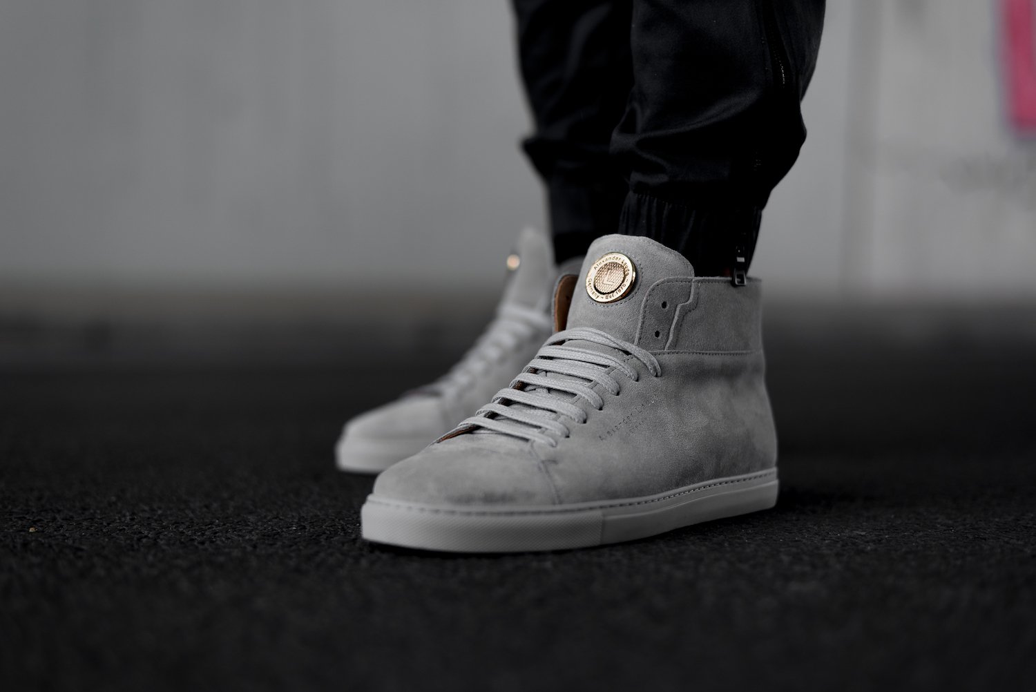 Alexander Laude Grey Fox 2