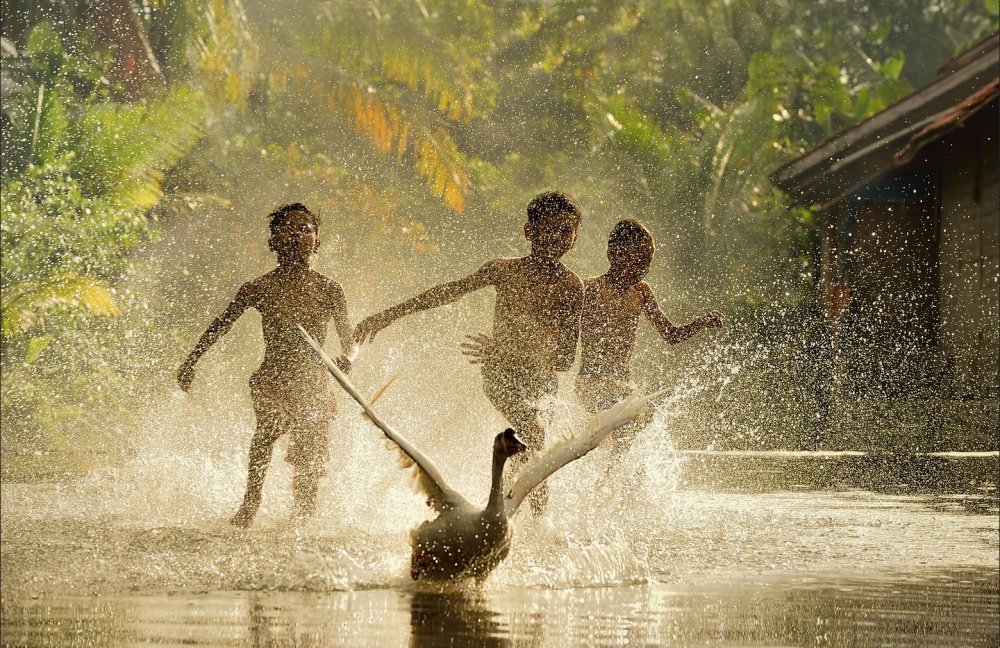 25 Pictures That Show Us How Beautiful Life Truly Is 1
