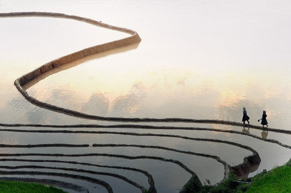 25 Pictures That Show Us How Beautiful Life Truly Is 18