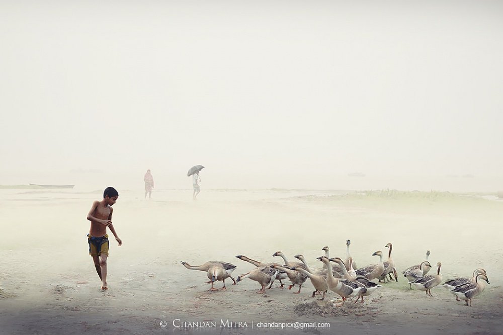 25 Pictures That Show Us How Beautiful Life Truly Is 19