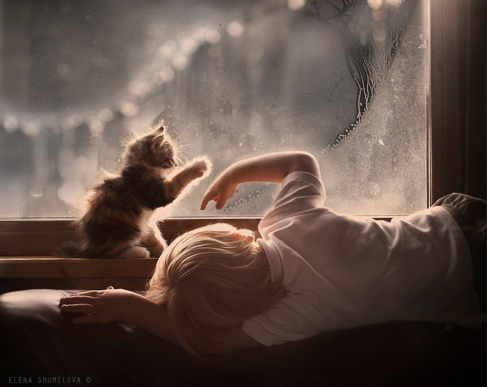 25 Pictures That Show Us How Beautiful Life Truly Is 21
