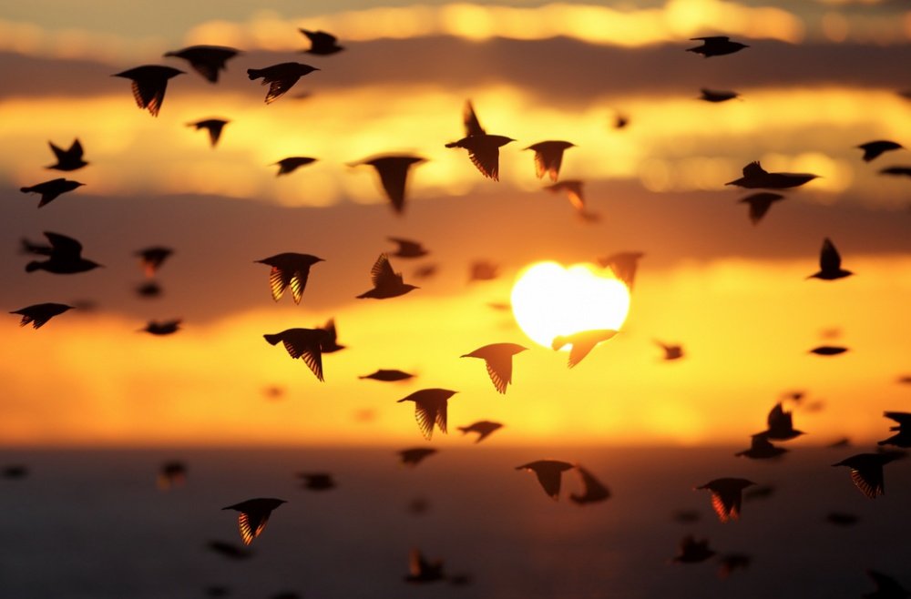 25 Pictures That Show Us How Beautiful Life Truly Is 8