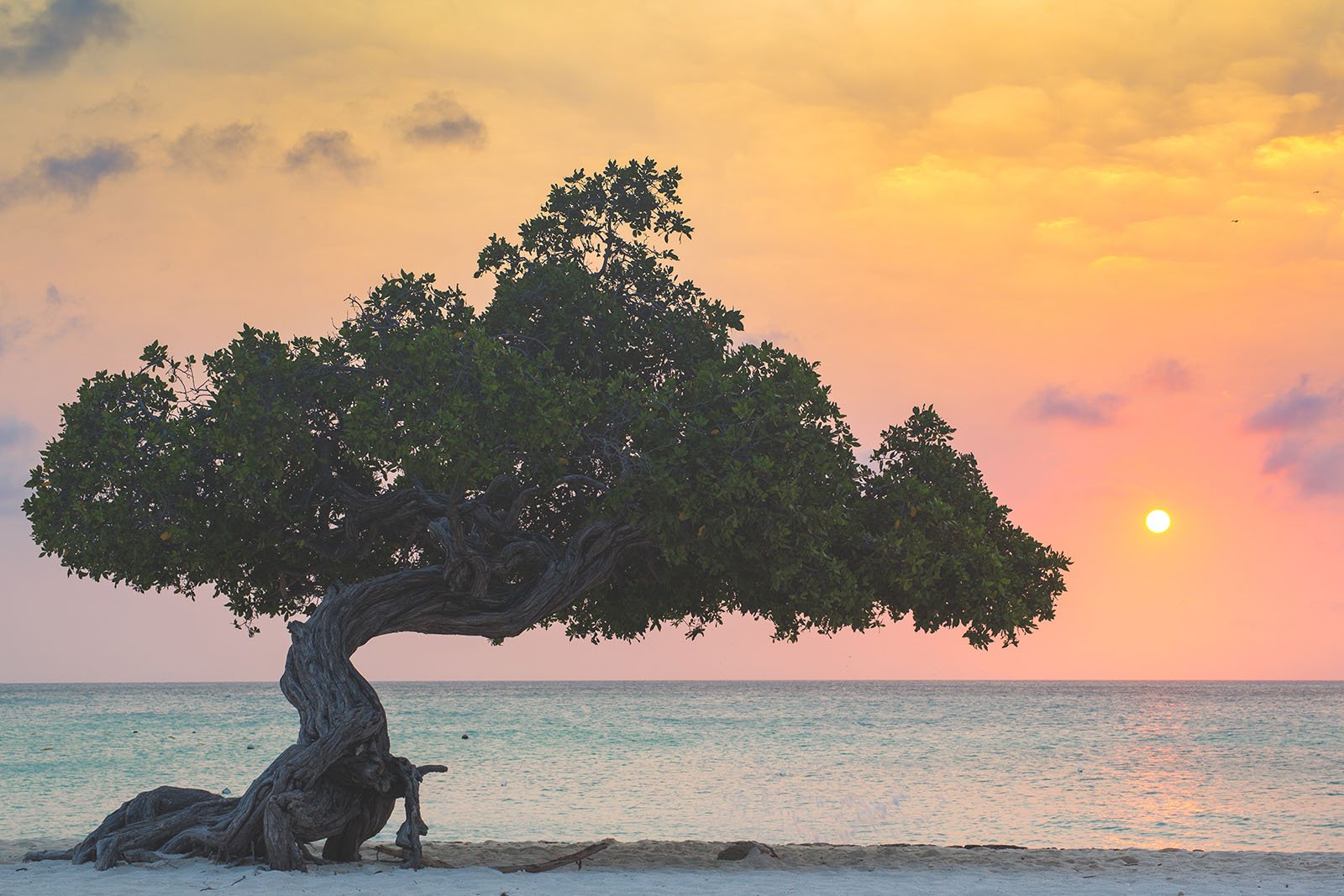 for-that-moment-in-the-caribbean-marko-roth-06