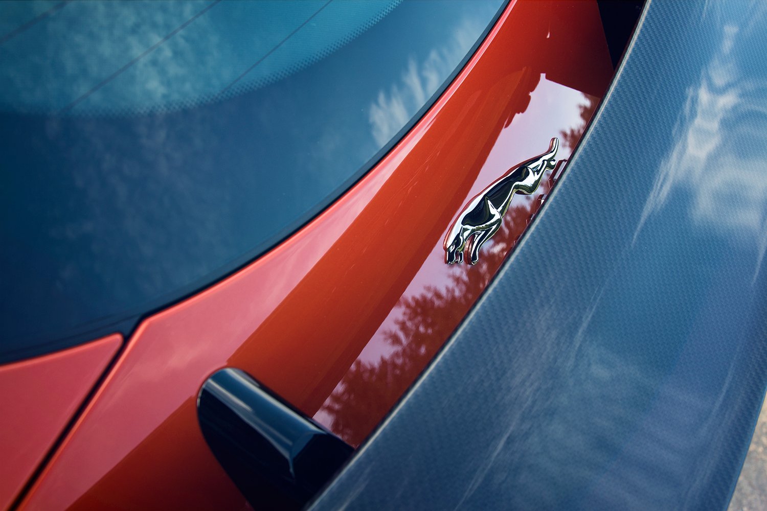 Britische Katzen in der Eifel: Der Jaguar F-Type SVR 14