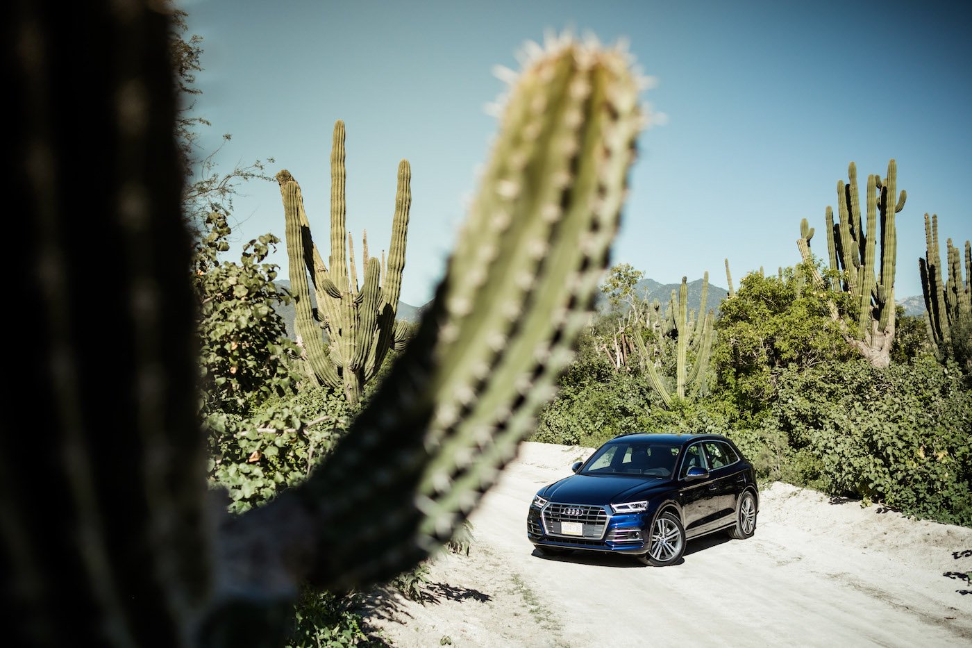 Der neue Audi Q5: Erste Probefahrt unter der mexikanischen Sonne 4