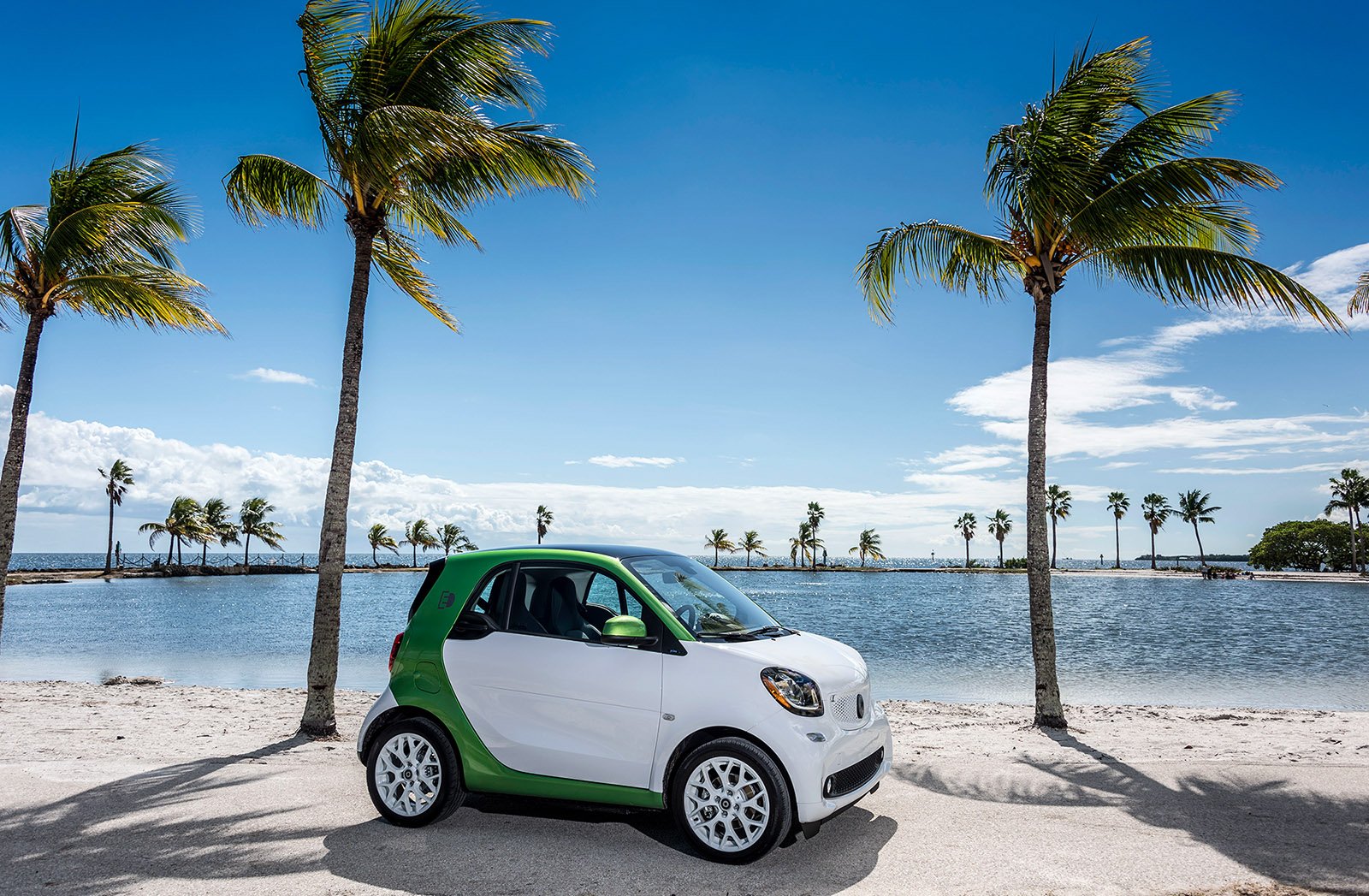 smart-electric-drive-01