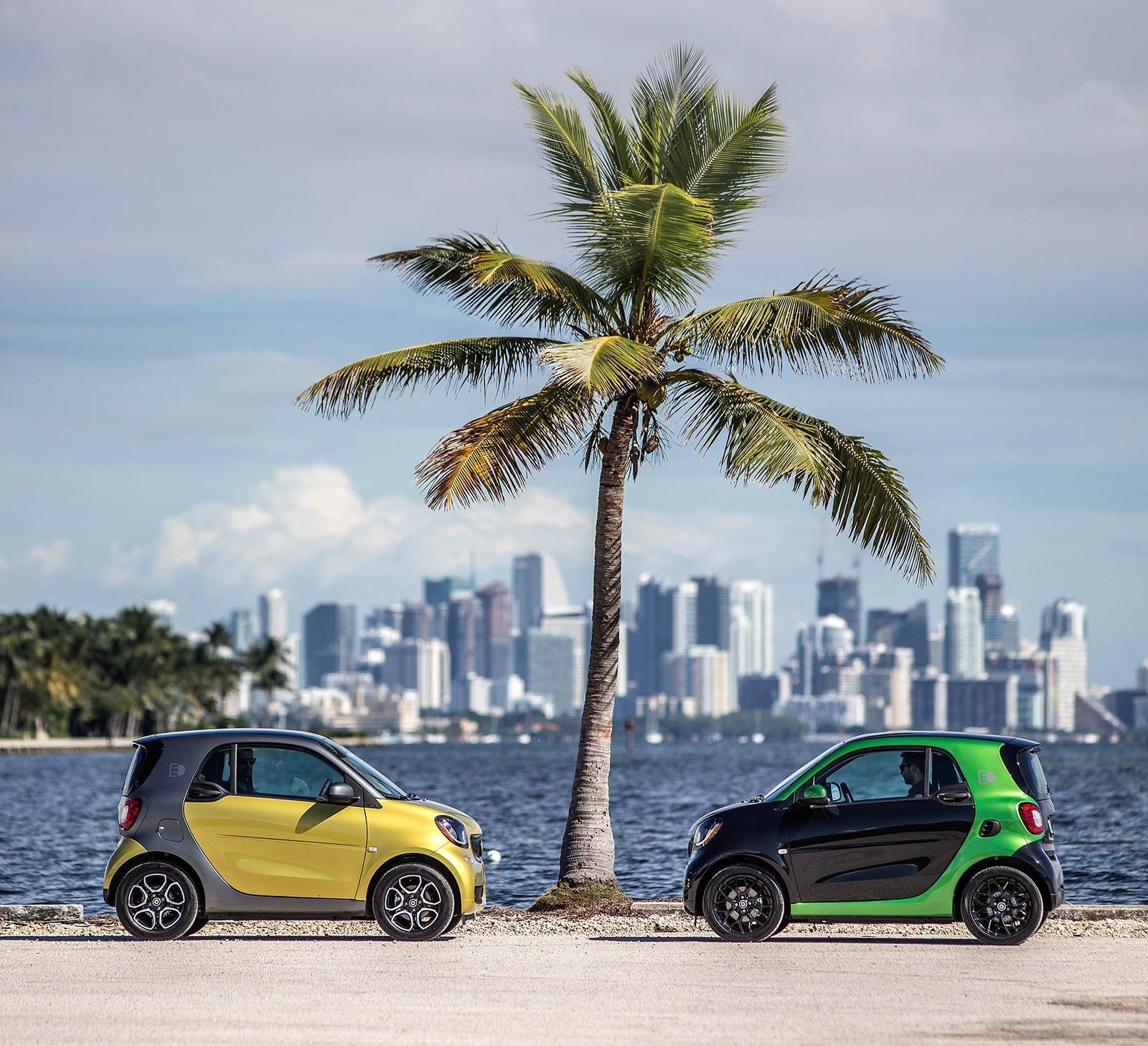 smart-electric-drive-06