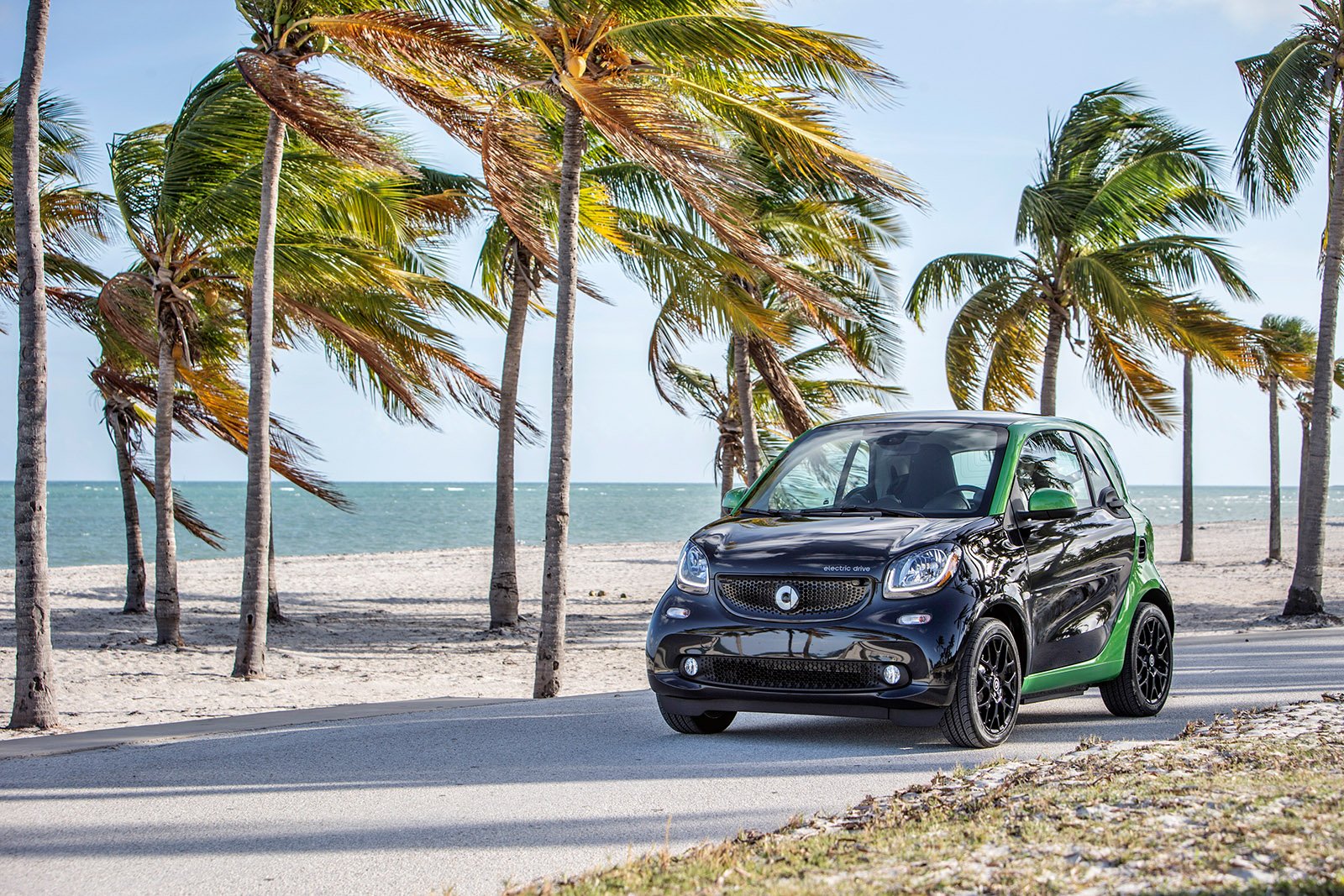 smart-electric-drive-12