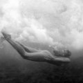 Calender #PlasticSushi by Marisa Papen for a good cause