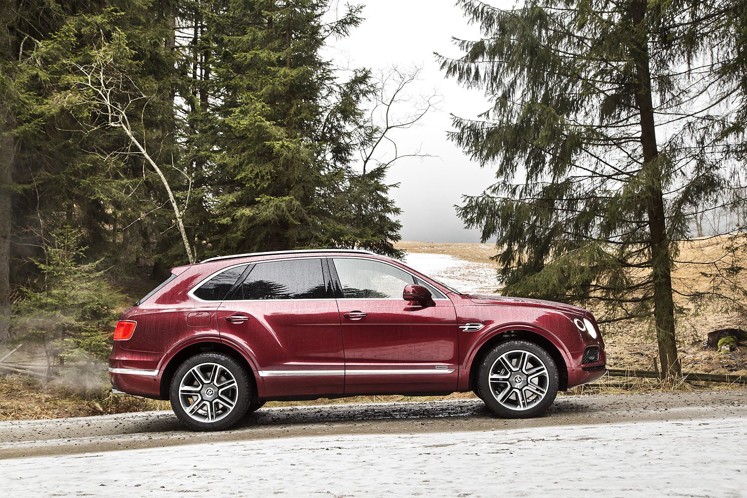 Mit dem neuen Bentayga Diesel entlang der Südtiroler Alpen 5