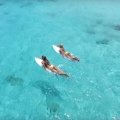 Discover Paradise With The KALOEA Surfer Girls