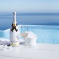 Alles, was Du über Champagner wissen musst