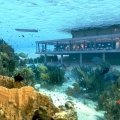 Das Amber Resort auf Zanzibar mit Unterwasser-Restaurant
