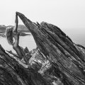 12 Natural Wonders in Norwegen von Paul Giggle