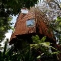 Ein Baumhaus im Dschungel von Tokio