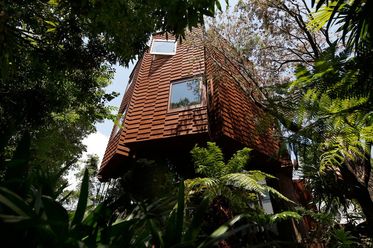 Ein Baumhaus im Dschungel von Tokio 1
