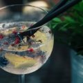 Good News: Gin & Tonic Helps to Avert Mosquitoes