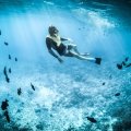 Die 10 besten Tauchziele der Welt: Tauchen im Paradies