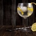 Gesundheit: Gin Tonic soll gegen Heuschnupfen helfen
