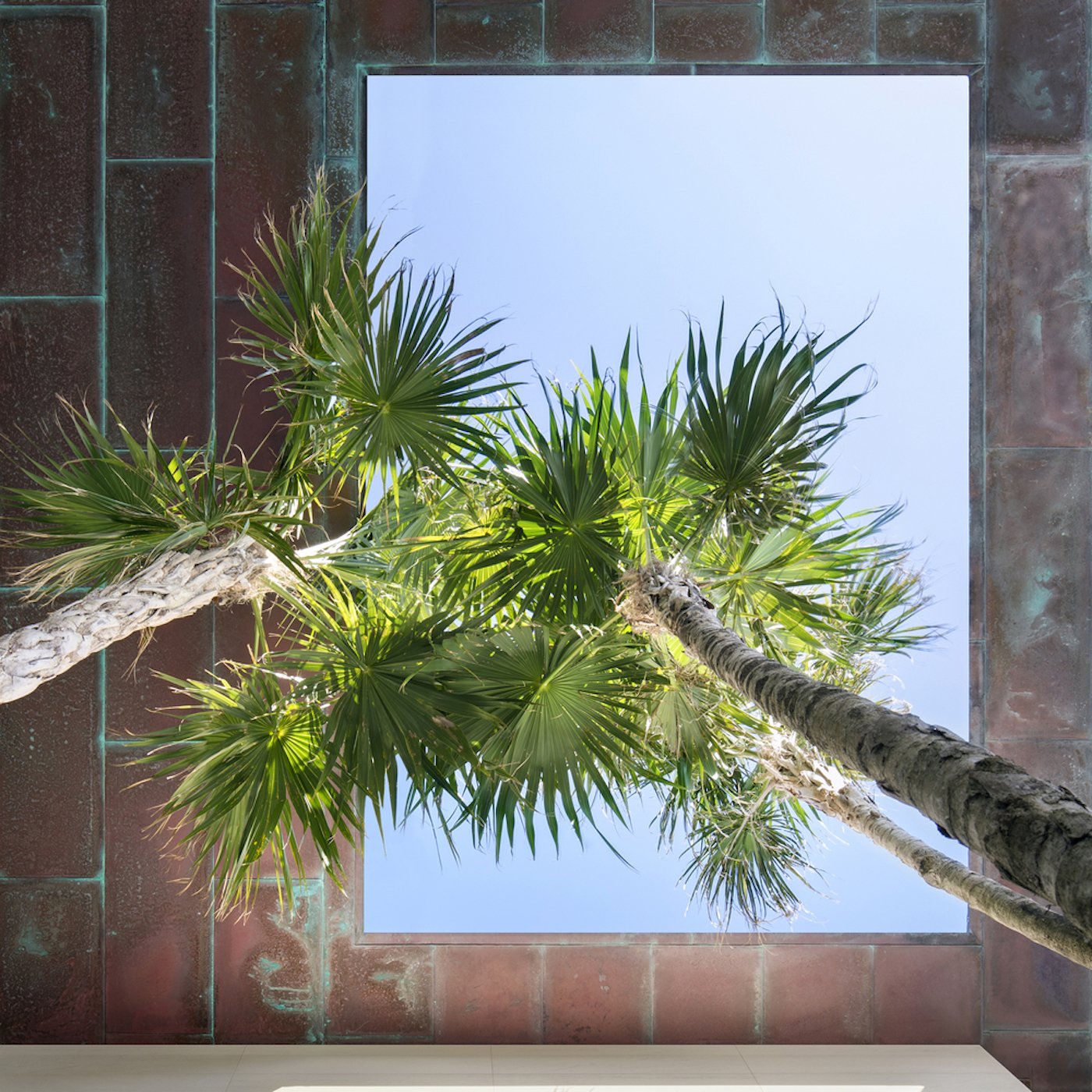 Großzügig, offen und grün: Die Dilido Island Villa von SAOTA in Miami 11