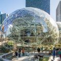 The Spheres: Amazon baut einen eigenen Amazonas für seine Mitarbeiter