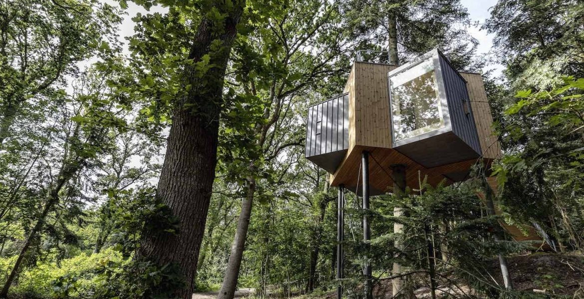 Ein Kindheitstraum: Das Baumhaus mitten im Nirgendwo