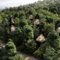 Wild, wundervoll und nachhaltig: Die Dawson Lake Tree Houses