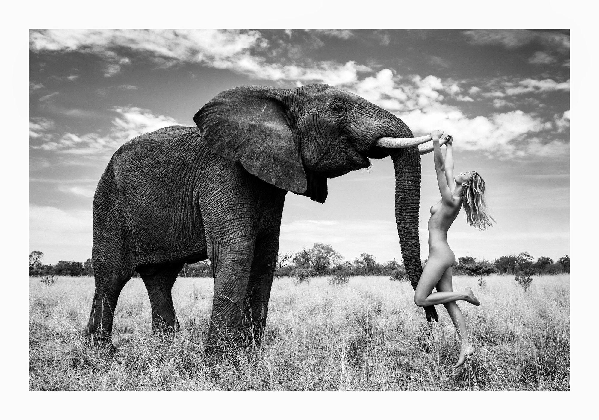 12 Natural Wonders in Afrika von Paul Giggle 1