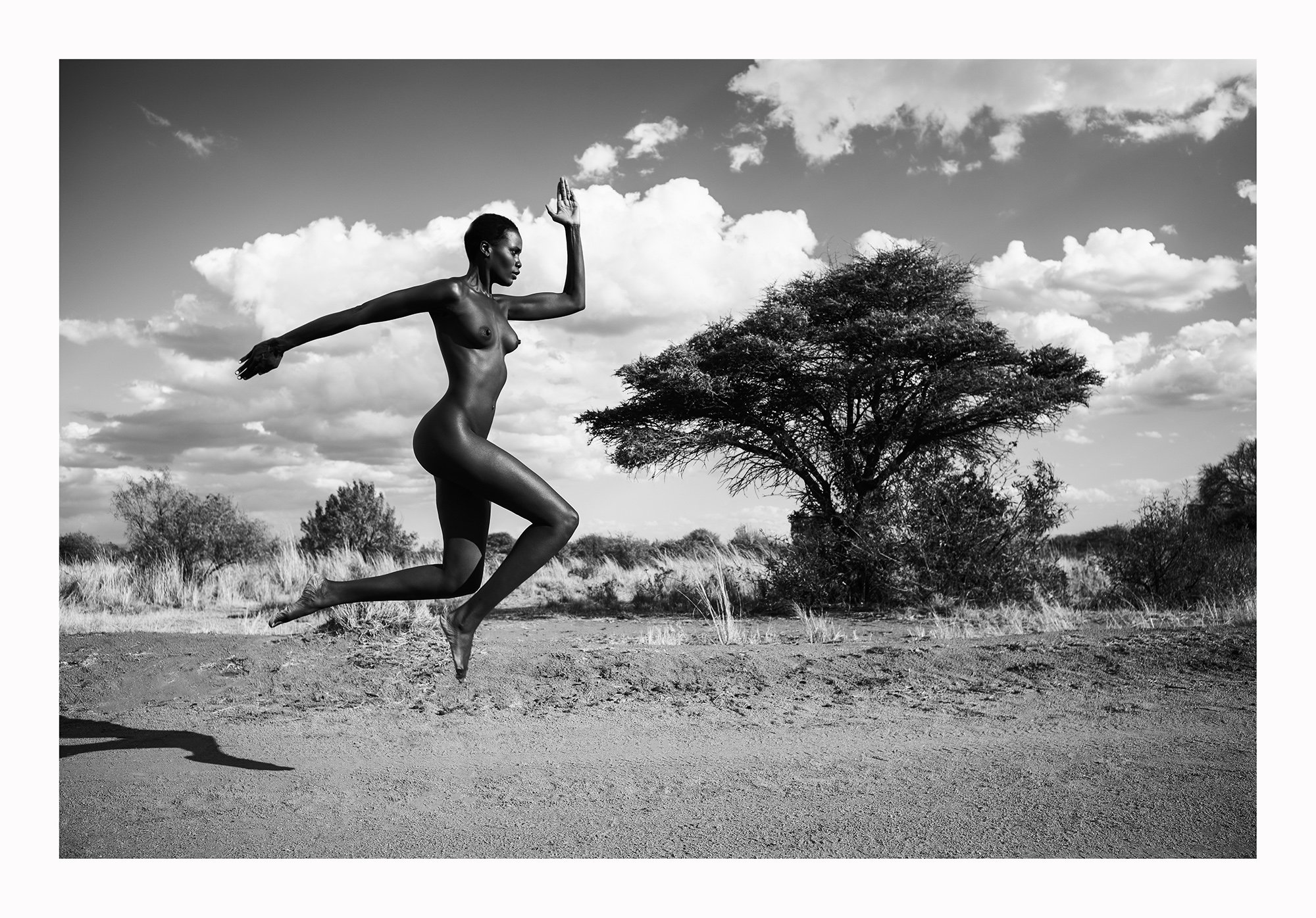 12 Natural Wonders in Afrika von Paul Giggle 10