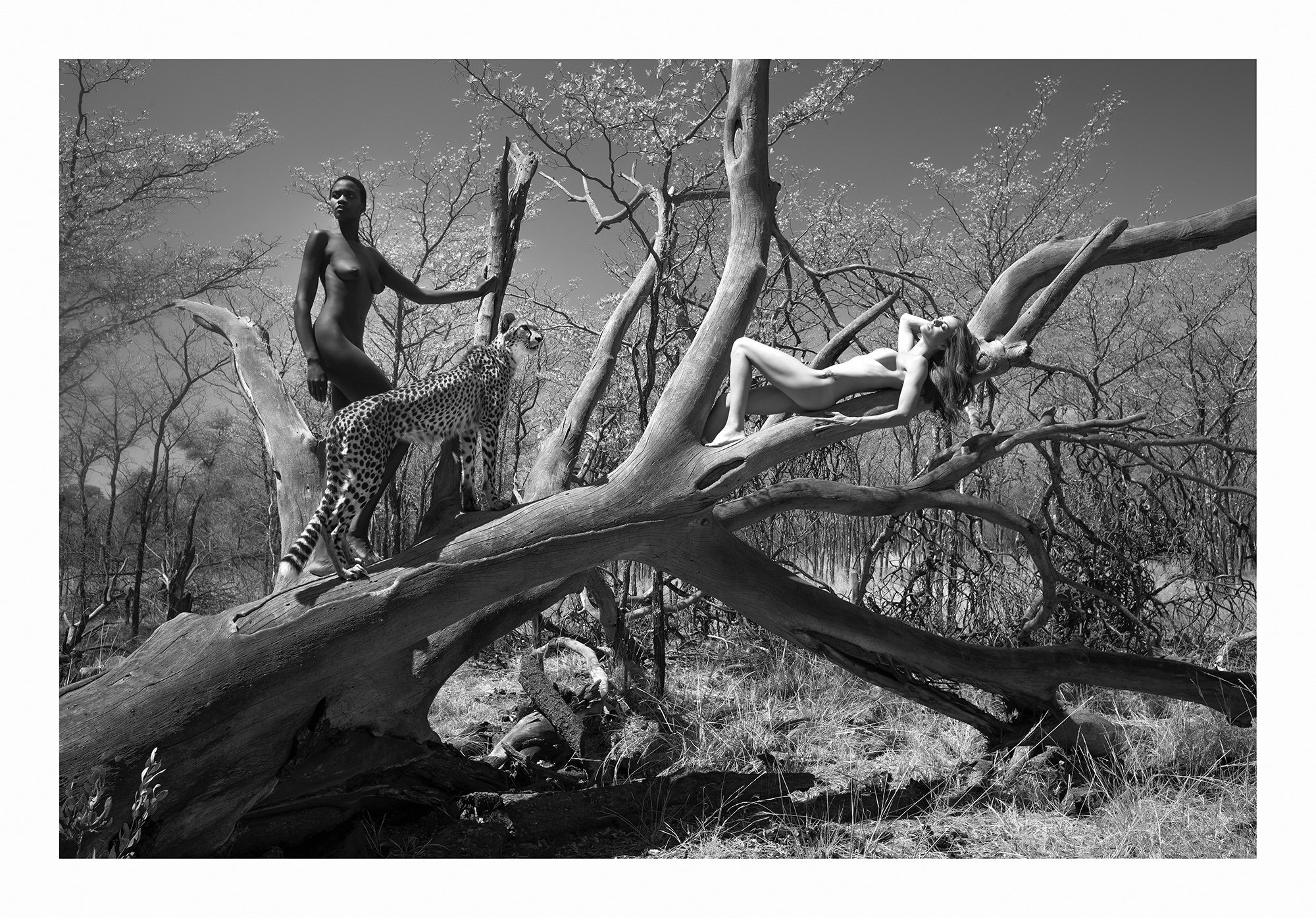 12 Natural Wonders in Afrika von Paul Giggle 7