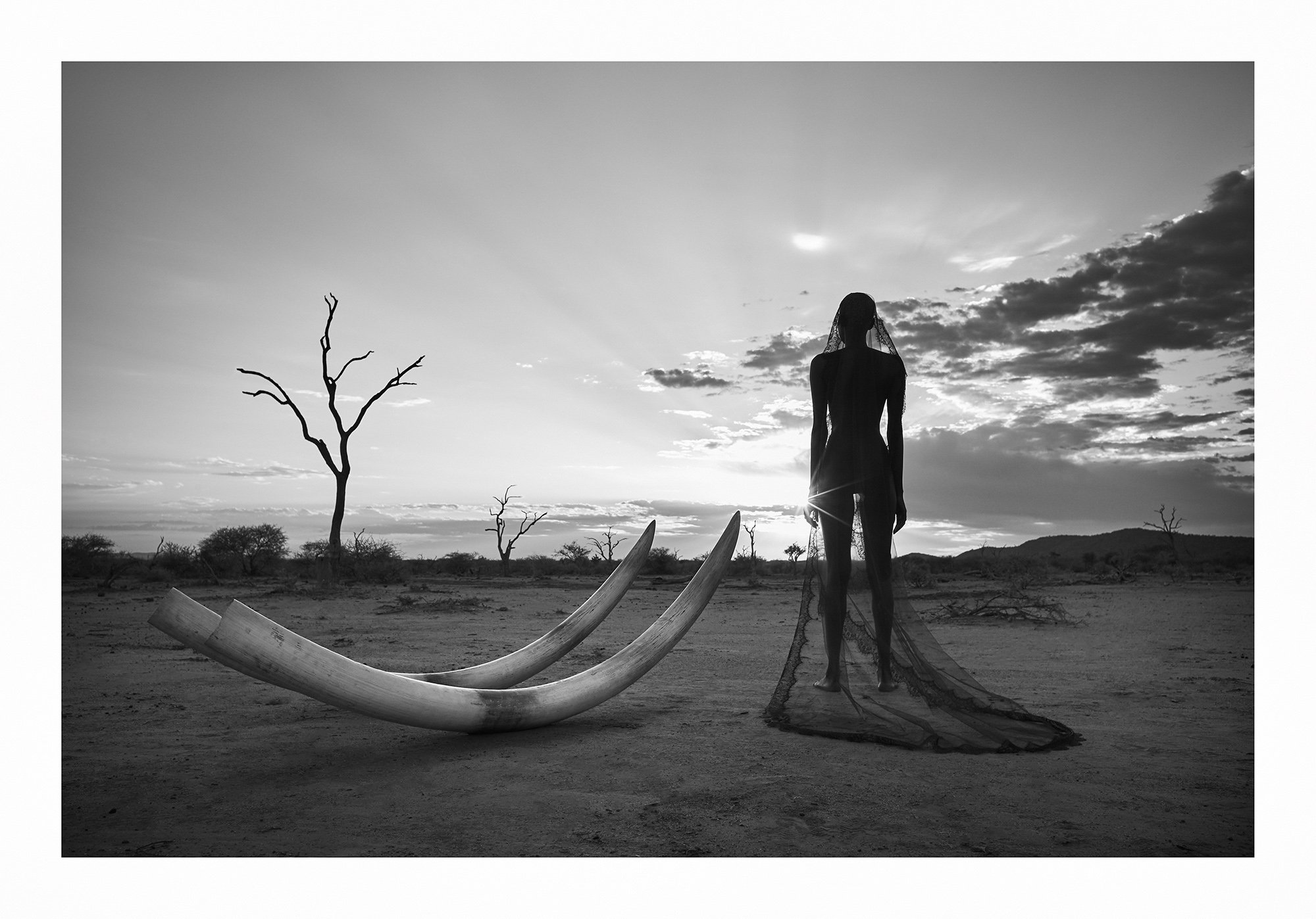 12 Natural Wonders in Afrika von Paul Giggle 6