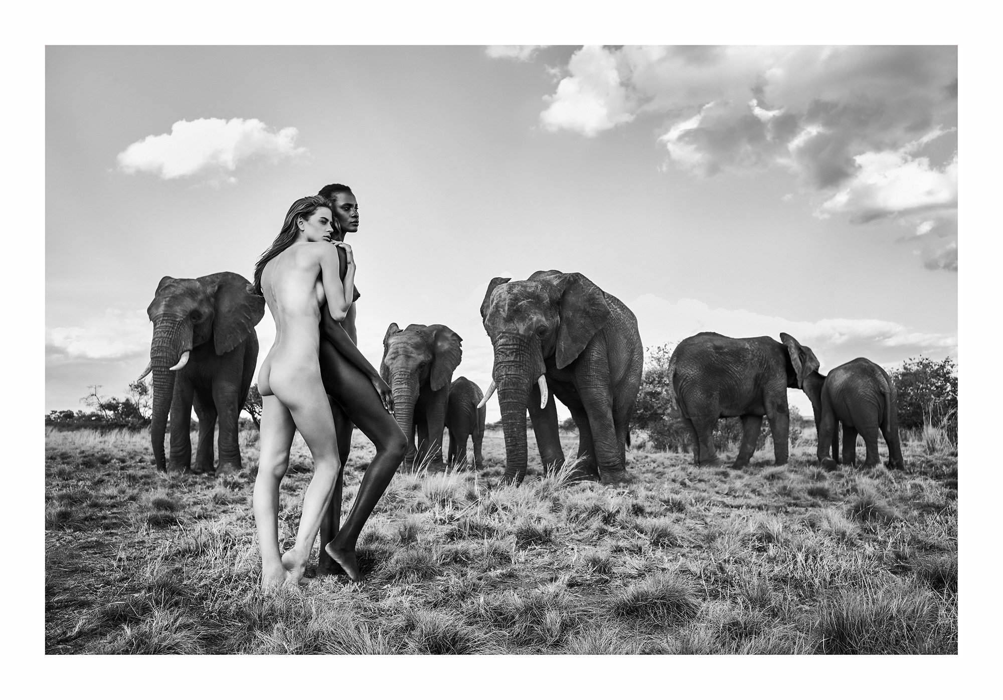 12 Natural Wonders in Afrika von Paul Giggle 5
