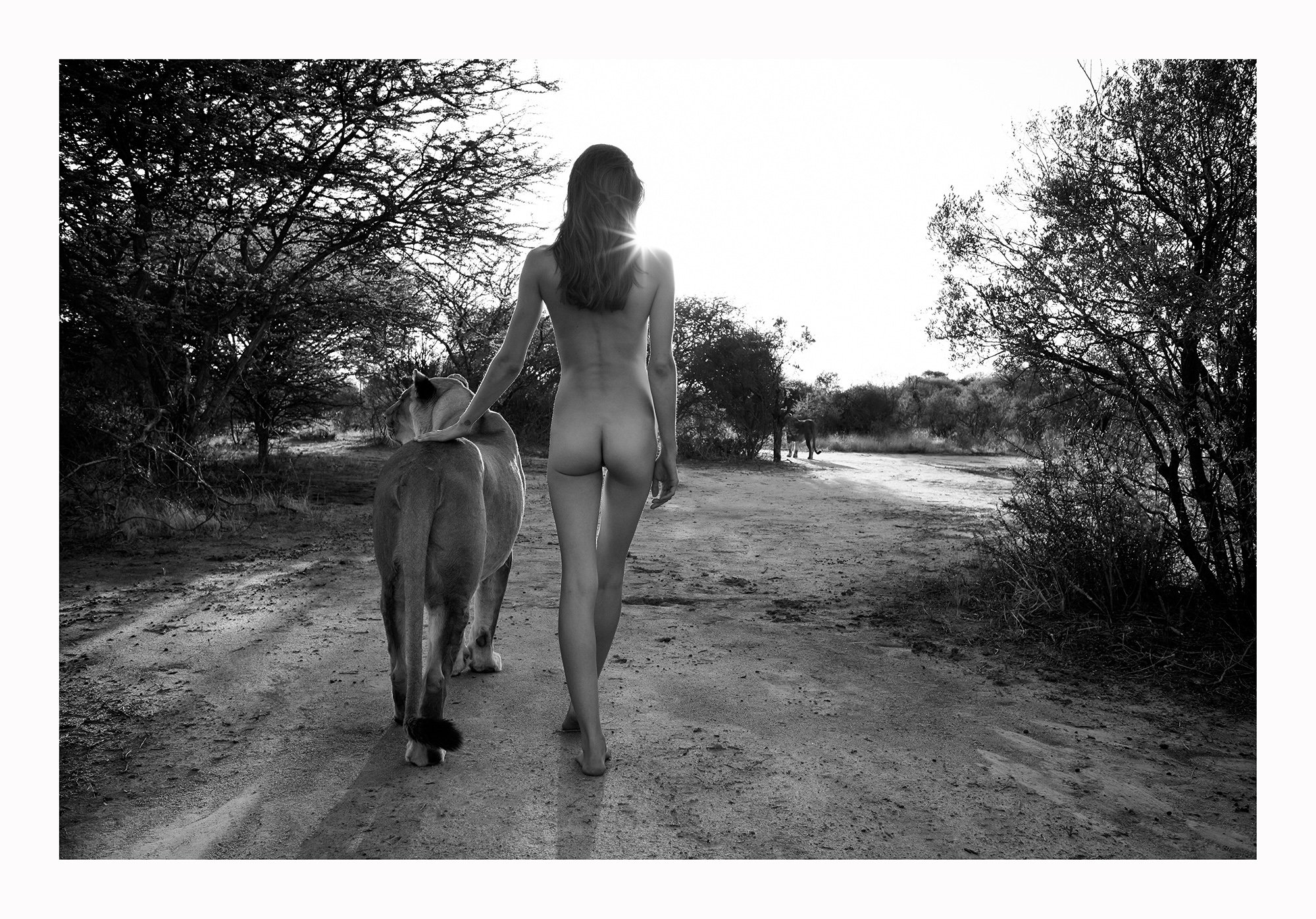 12 Natural Wonders in Afrika von Paul Giggle 4