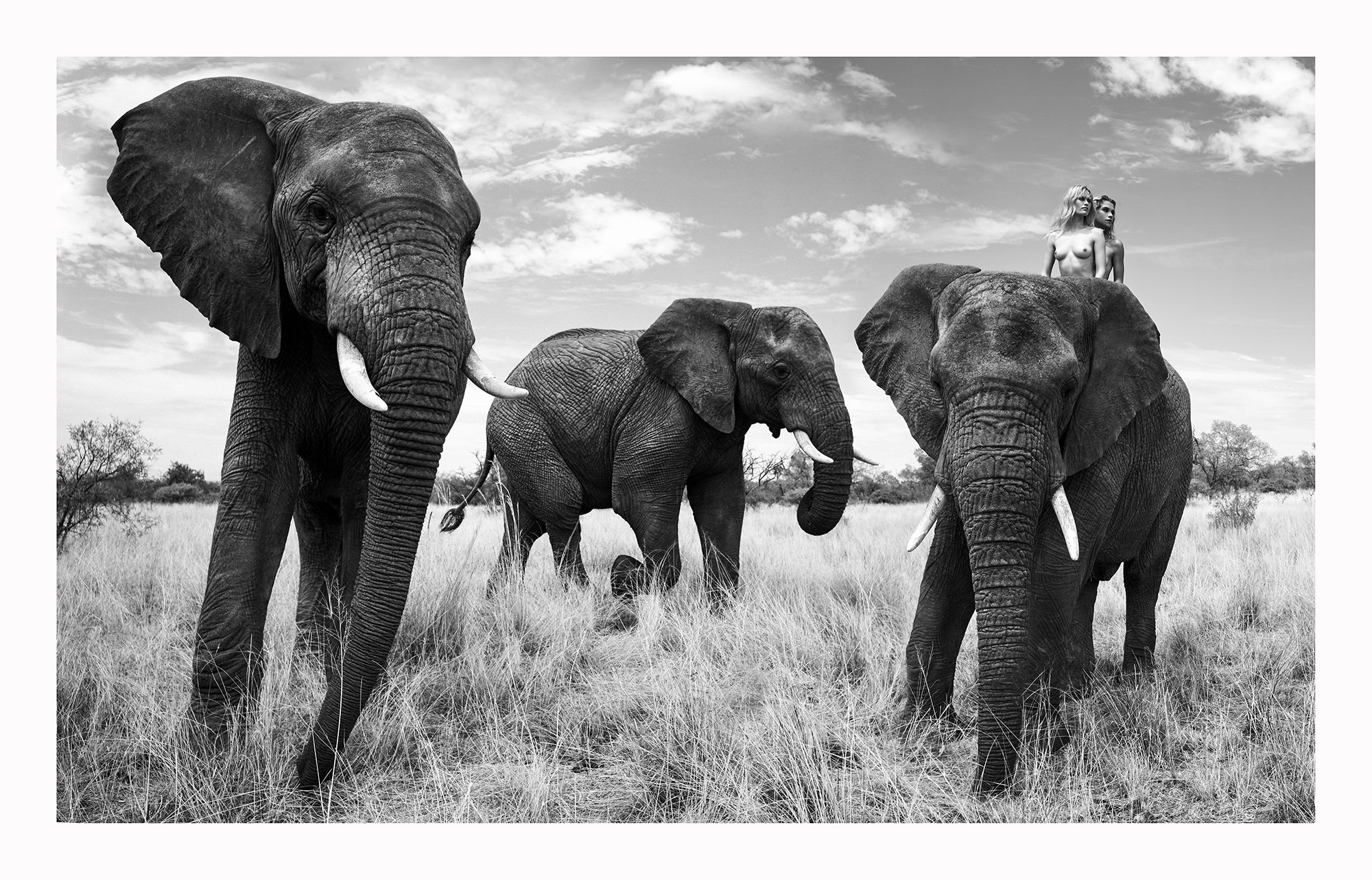 12 Natural Wonders in Afrika von Paul Giggle 3